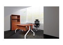 Ceo Operasyonel